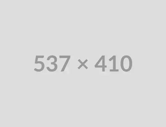 Website Development